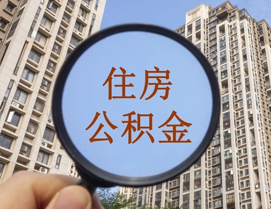 驻马店退休后查不到公积金明细了吗（退休后公积金查询不到原因）